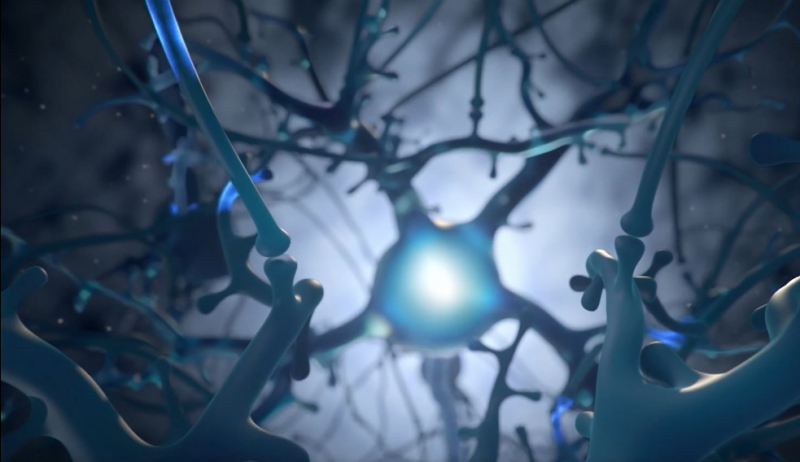 Neuralink: первые чипы скоро будут имплантированы людям