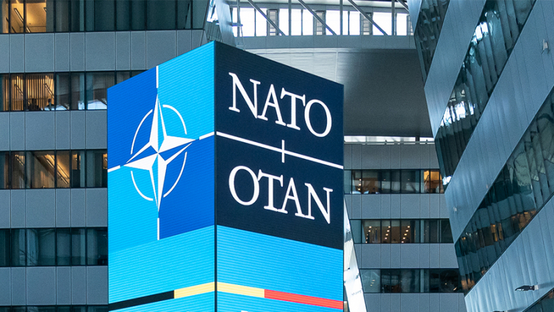 В Латвии оценили перспективы вступления Украины в НАТО