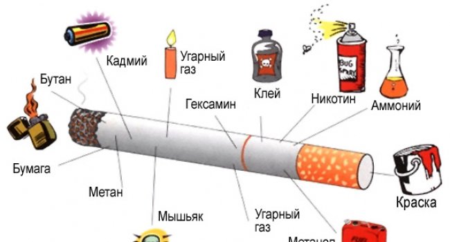 Российские специалисты подготовят отчет о составе сигарет