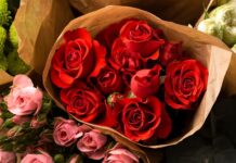 Розы в букетах: символизм, значение цвета и правила ухода
