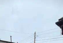 Аренда Авто с Водителем: Удобство и Гибкость Перемещений