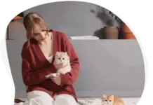 Выбор корма для кошек и собак: руководство по сбалансированному питанию