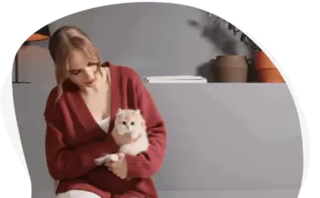 Выбор корма для кошек и собак: руководство по сбалансированному питанию